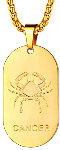 FaithHeart Collier Plaque Militaire Homme Femme Signe Astrologique Cancer Or Acier Inoxydable Chaîne Ajustable 55cm
