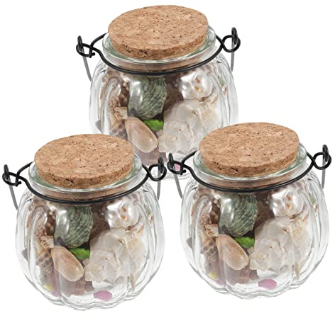 Happyyami Botella De Caracola Marina Taza Alta Decoración Natural De San Valentín Kit De 3 Unidades