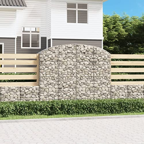 GCHDHAPB Arched Gabion Basket 200x50x160/180 cm Galvanised IronHome & Garden Lawn & Garden Gardening Pots & Planters