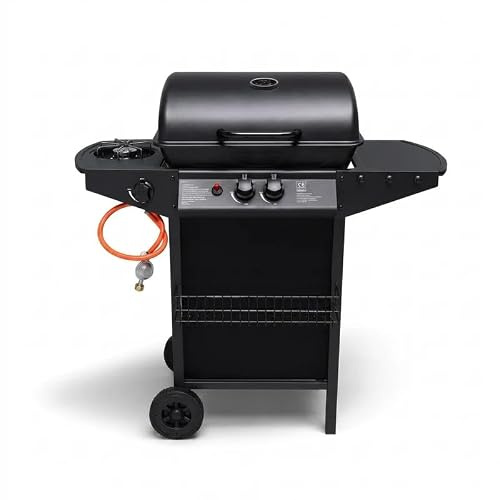 FENIX HOME Barbecue a Gas GPL con Pietra Lavica, 2 Bruciatori 2,9 kW + Fornello Laterale 2,5 kW, Coperchio con Termometro e Finestra, Acciaio Inox, Ruote, Total Black, per Giardino e Terrazzo