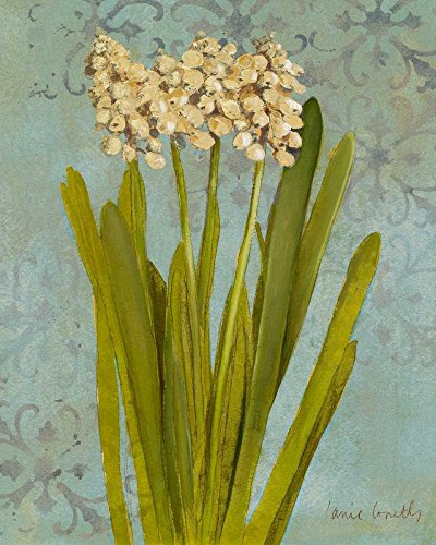 Bild auf gerollter Leinwand, Hyazinthe auf Teal II Loreth Lanie, Blumenmuster, vertikal, Kunstdruck, Hyazinthe, Gelbgold, Ockerblume, Blaugrün, 66 x 50 cm