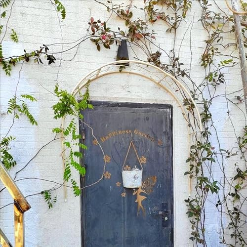 Arche de jardin en métal à fixation murale pour plantes grimpantes, support de portail robuste pour entrée de jardin, fenêtres, portes, structure de jardin décorative résistante à la rouille.