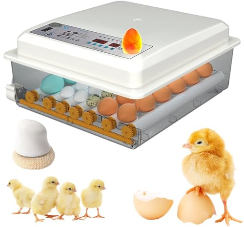16/36 Premium Brutmaschine Vollautomatisch, Brutautomat Hühner, 360° Sicht Inkubator Mit Eierwenden, Wasserzugabe, Temperatur & Eierlampe , für Hühner, Enten, Gänse, Wachteln (16er)