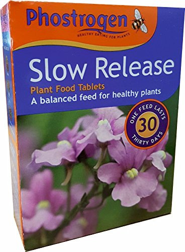 Phostrogen 78g SLOW RELEASE Garden PLANT FOOD TABLETS for Healthy Gardens!