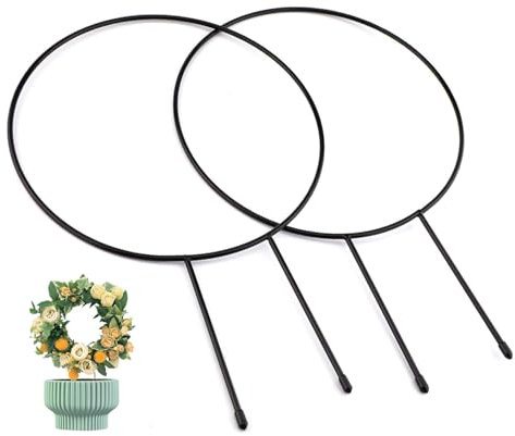 BRIOTA 2 Pack Climbing Plant Support, 13.3 Decorative Potted Plant Supports, Plant Trellis Stakes, Decorative Garden Trellis for Climbing Plants -Vine, Ivy, Flowers, Vegetables, Round Black Coated