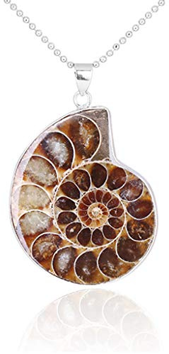 BOBEINI Natural Ammonita Fósiles Colgante Joyería Tono Plata Ammonita Fósiles Piedra Envuelto Colgante Collar Joyería De Moda, Plata
