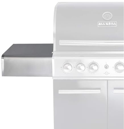 trends4cents All'Grill Top-Line Chef Barbecue à gaz – Plateau gauche, acier inoxydable, pliable, 54 cm x 34 x 14 cm
