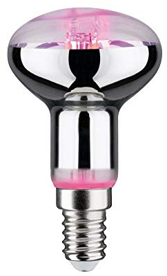 Paulmann 28734 LED Lampe Pflanzenlicht 4W Leuchtmittel Wachstumslicht Beleuchtung Licht 1300K E14