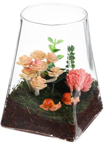 Toddmomy Glasterrarium Klare Glasvase Für Pflanzen Blumenvase Glasblumentopf Terrarium Glasblumenvasen Glasvasen Zur Dekoration Glasdekorationen Glaspflanzgefäße