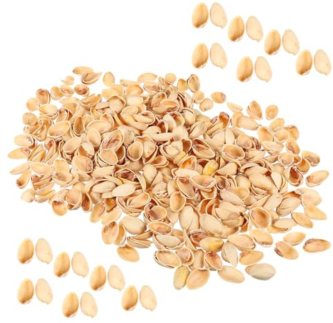 Alipis Coquilles de Pistaches Naturelles 500G pour Bricolage Matériaux Artisanaux DIY Décoration Créative Fournitures Loisirs Créatifs Fabrication Bijoux et Projets Artistiques