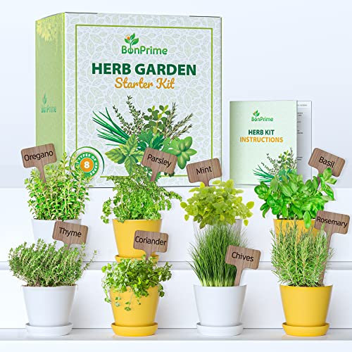 BonPrime Kit de Cultivo Hierbas aromaticas - Mini Jardín y Huerto Urbano para Casa con 8 Semillas, Macetas Ecológicas y Marcadores - Set de Plantas aromáticas - Minihuerto para Principiantes