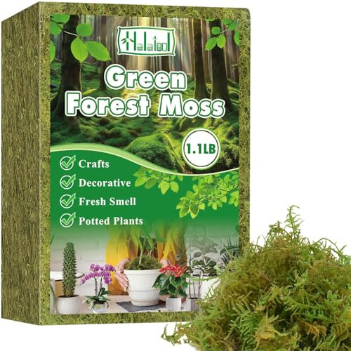 Halatool 500g Premium Sphagnum Moss for Plants - Ideal Orchid Potting Mix, Moisture-Retaining Moss for Indoor/Outdoor Potted Plants, Natural Forest Moss Soil Cover