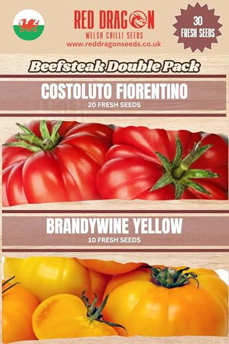 Beefsteak Tomato Seeds Double Pack 2-30 Fresh Beefsteak Tomato Seeds