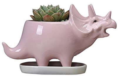 Blumenpflanzer, Indoor-Töpfe für Pflanzen,saftige Töpfe Dinosaurier Pflanzerhalter mit Tray niedlichen Keramik Triceratops Tiere Kaktus-sukkulente Pflanzentöpfe Dinosaurier Pflanzerhalter mit Tablett