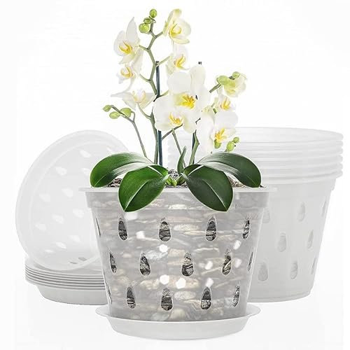 Bafnsiji Pot d'orchidée Clair, Pot de Plante en Plastique Fendu Respirant 5PCS, Pots de Plante en Plastique Transparent, Pot d'orchidée avec Trou de Drainage