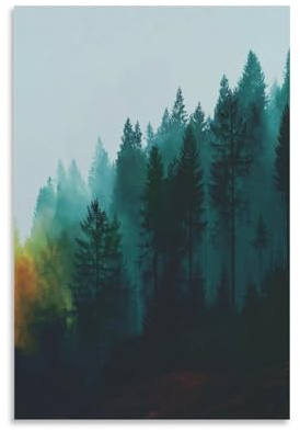 Wald Leinwand Bilder Wandbilder Landschaft Ausführung Kunstdruck Dekoration Schadstofffreier Umweltschutz Wasserdicht Wanddeko Schlafzimmer Gemälde Desktop Badezimmer Büro Zimmer Esszimmer 16x24inch(