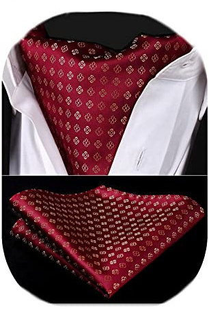 HISDERN Herren Krawattenschal Floral Paisley Ascot Krawatte Hochzeit Business Halstuch und Einstecktuch Set