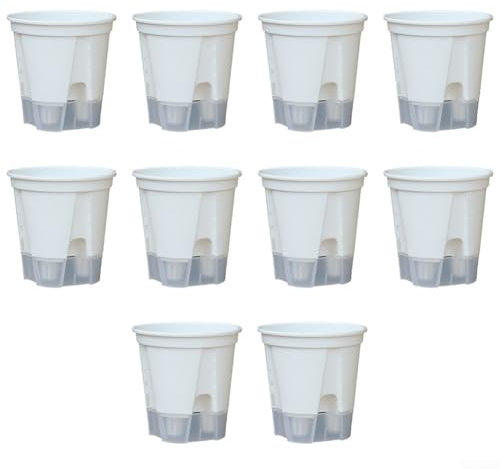 Lot de 10 pots à orchidée à arrosage automatique en polypropylène avec flux d'air et drainage pour un arrosage facile (150)