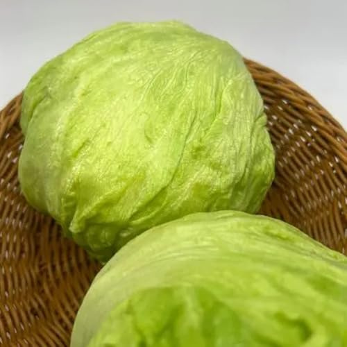 semi di insalata - insalata semi di per aiuole rialzate lattuga per gli amanti del giardino balcone serra resistenti in vaso biologici, varietà 100semi
