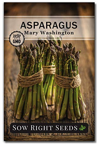 Sow Right Seeds - Mary Washington Asparagus Seed for Planting - Non-GMO Heirloom Packet with Instructions to Plant an Outdoor Home Vegetable Garden - Classic Perennial Stalks with Hearty Flavor (1)