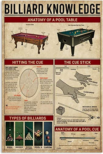 Oudrspo Billard-Wissens-Metallblechschilder, Vintage-Billard-Queue-Ball-Erklärer, Infografik-Poster, Pool-Liebhaber-Kollektion, Plakette, Club, Bar, Café, Zuhause, Wanddekoration, 30,5 x 40,6 cm