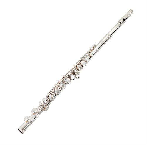 Querflöte 16 Offene Und Geschlossene Löcher Flöte Versilbert C Key Anfänger Professionelle Prüfung Instrument(French)