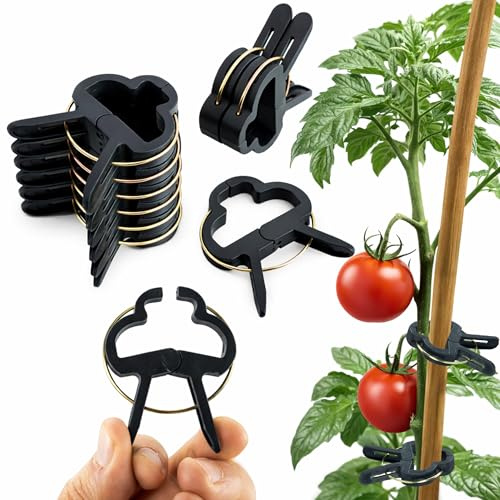 ECENCE 60x Pflanzenclips Pflanzenklammern für Tomaten, Größe L | Rankhilfe für Kletterpflanzen, Rosen, Reben, Pflanzenhalter, Leichte Fixierung, Wiederverwendbar