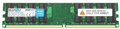 BRAINZAP 4GB DDR2 RAM DIMM PC2-6400U 2Rx16 800 MHz 1.8V CL6 Memoria RAM AMD PC