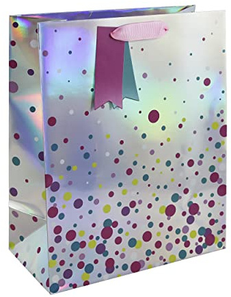 Eurowrap 32373-2C Geschenkbeutel, Papier, silber, Large