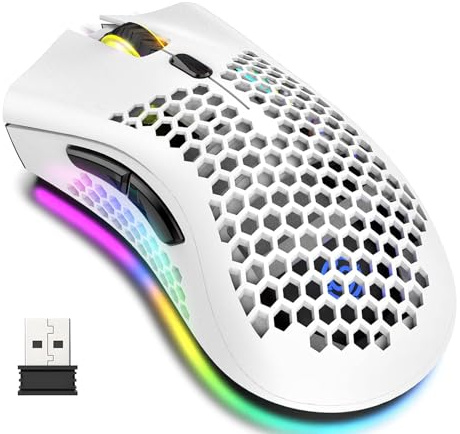 Lancoon Souris sans fil rechargeable avec coque creuse en nid d'abeille, éclairage coloré, capteur optique, 3 DPI réglables, clic silencieux, pour gamer, ordinateur, bureau (blanc)