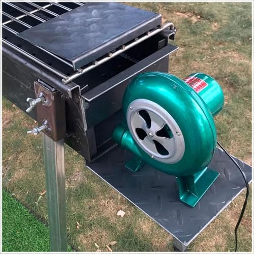 Soplador De Aire Eléctrico Centrífugo - Turbina Soplador De Castillos Hinchables, Parrilla del Encendedor del Carbón De La Fan, Excitador De Llama De Arranque De Fuego De Parrilla(80W)