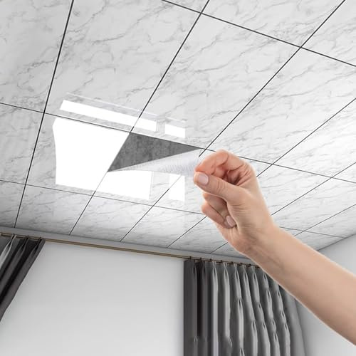 Minglez Dalle de Plafond Revêtements de Plafond Pelables pour Faux Plafonds, Panneaux Muraux Décoratifs pour Salon, Salle de Bain ou Chambre, Panneaux de Plafond Artistiques à Remplacer(D,30pack)