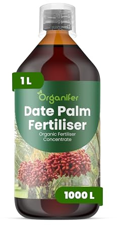 Engrais liquide organique 1L pour palmier dattier – croissance robuste et vitalité optimale – Organifer