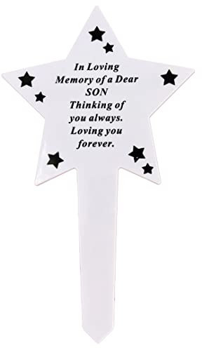 Angraves Shining Star Special Son Memorial Baby Child Remembrance Verse Grave Ground Stake Plaque