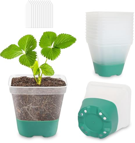 CNNIK Lot de 12 pots de culture, transparents, 8 cm, avec fond en silicone, carrés, en plastique, pour la culture de plantes, pour l'intérieur et l'extérieur, bleu sarcelle