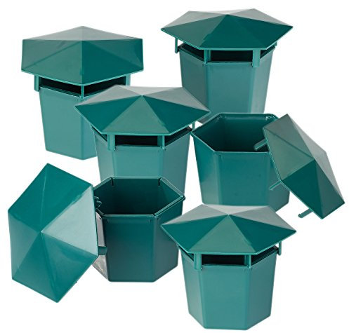 Exbuster Schneckenschutz: 6er-Set Premium Bio-Schneckenfallen ohne Chemie und Gift (Schneckenabwehr, Schneckenfalle ohne Bier, Schneckenzaun)