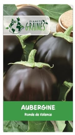 200 graines aubergine ronde de Valence - forte productivité