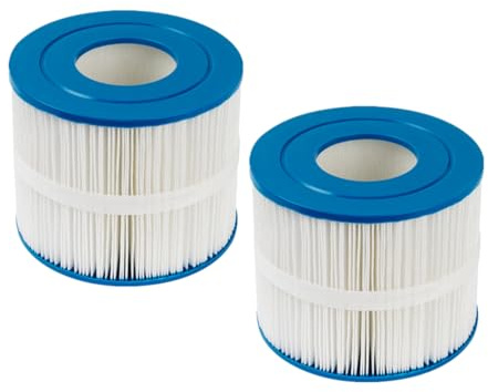 YanBan Paquete de 2 filtros para SPA compatibles con Pleatco PBF40M, para Bull Frog Wellspring 30 Coreless 10-00282 SD-01389, Cartucho de Filtro para Jacuzzi para Modelos 2018–2024, 8 x 6