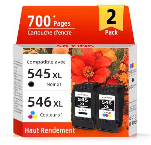 Skyink 545XL 546XL Cartouche d'encre Remplacement pour Cartouche Canon 545 546 XL PG545XL CL546XL Compatible pour tr4650 tr4550 ts3450 ts3350 ts3400 ts3355 mx495 mg2550s Imprimante (1 Noir, 1 Couleur)