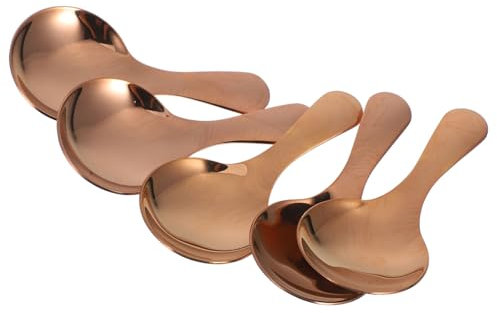 Homoyoyo 5pcs Stainless Steel Mini Spoons Tea Salt Sugar Scoops for Daily Use Compact for Travel Camping Elegant Design