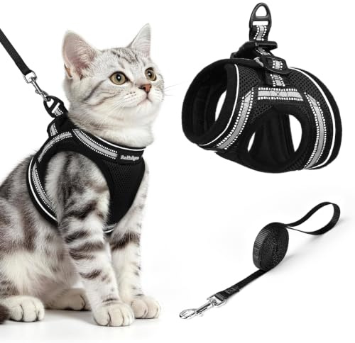rabbitgoo Pettorina Gatto Antifuga, Guinzaglio Gatti Regolabile, Imbracatura Ultra-Leggero Morbido Riflettente per Cucciolo, Gattini e Gatto Piccolo, Pettorina per Passeggio e Corsa, M, Nero