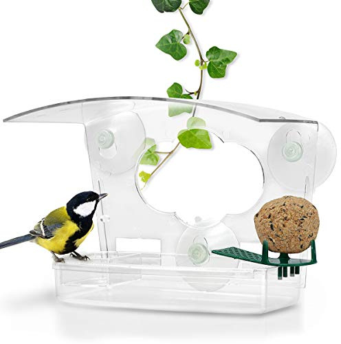 WILDLIFE FRIEND I Mangeoire à Oiseaux pour Fenêtres - Transparent avec Mangeoire, Boule de Graisse, Bain d'oiseaux I pour Oiseaux Sauvages