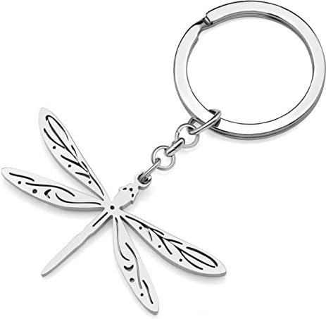 RAIDIN Porte-clés insecte libellule mignon en acier inoxydable Cadeaux pour femmes filles voiture clés de sac à main (Argent-038)