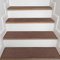 JHLGRE Antideslizantes para Escaleras, 20cm*76cm 4pcs, Alfombra Antideslizante, Alfombrillas para Escalones Interior, Lavable, Reutilizable, Marrón