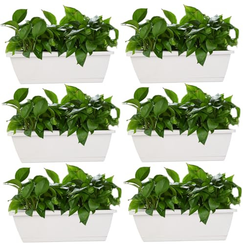 Lot de 6 jardinières rectangulaires en PP avec drainage et tiroir 42,9 x 18 x 16 cm pour fleurs, légumes, balcon, rebord de fenêtre, jardin, gris clair