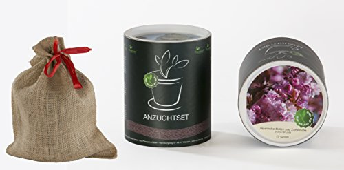 Seedeo Anzucht-Geschenkset Japanische Blüten- und Zierkirsche (Prunus serulata)