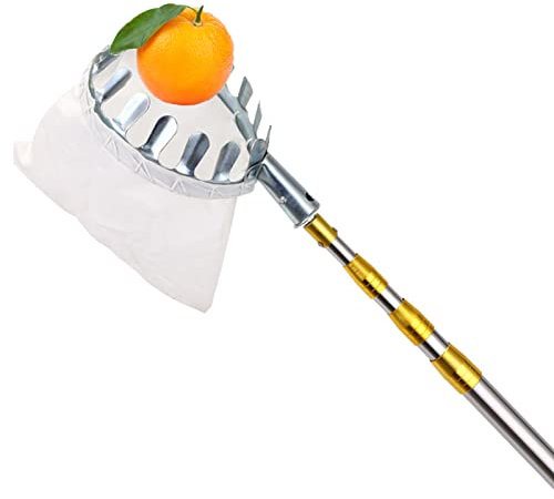 PJDDP Obstpflücker mit 4M Teleskopstiel zum Pflücken von hochwachsenden Früchten, Hochwertiger Apfelpflücker Obsternter mit ausziehbarem Stiel für Apfel,Birne,Zitrone,Mango,Orange,Avocado usw