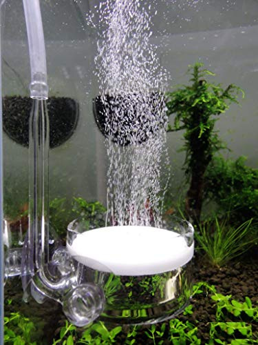 Pollen Glas CO2 Diffusor mit U Pipe für Aquarium Gepflanzt Tank (Φ40mm)