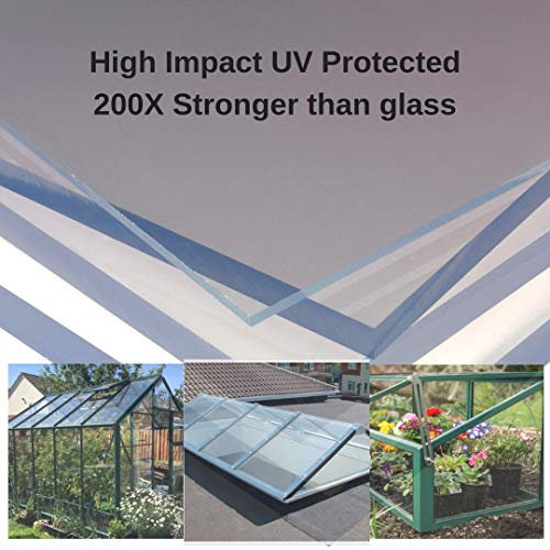 Tamstar Clear Polycarbonate Sheets 1220x610x2mm (1220x610x2mm) –UV Protected, Impact-Resistant Glazing Panel for Greenhouses, Sheds, DIY, Splashbacks and Signage – Lightweight & Durable – UK Made