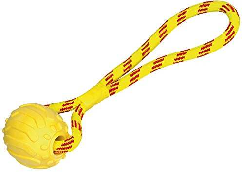 Nobby TPR Schaumball mit Seil, 37 cm, 1 Stück